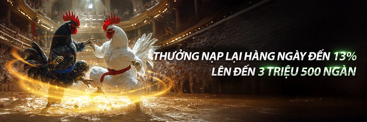 Đá gà trực tuyến kịch tính tại subet khuyến mãi